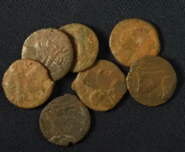 Fernbank Museum debuts ‘Sunken Treasures, Ancient Seas’ Exhibition